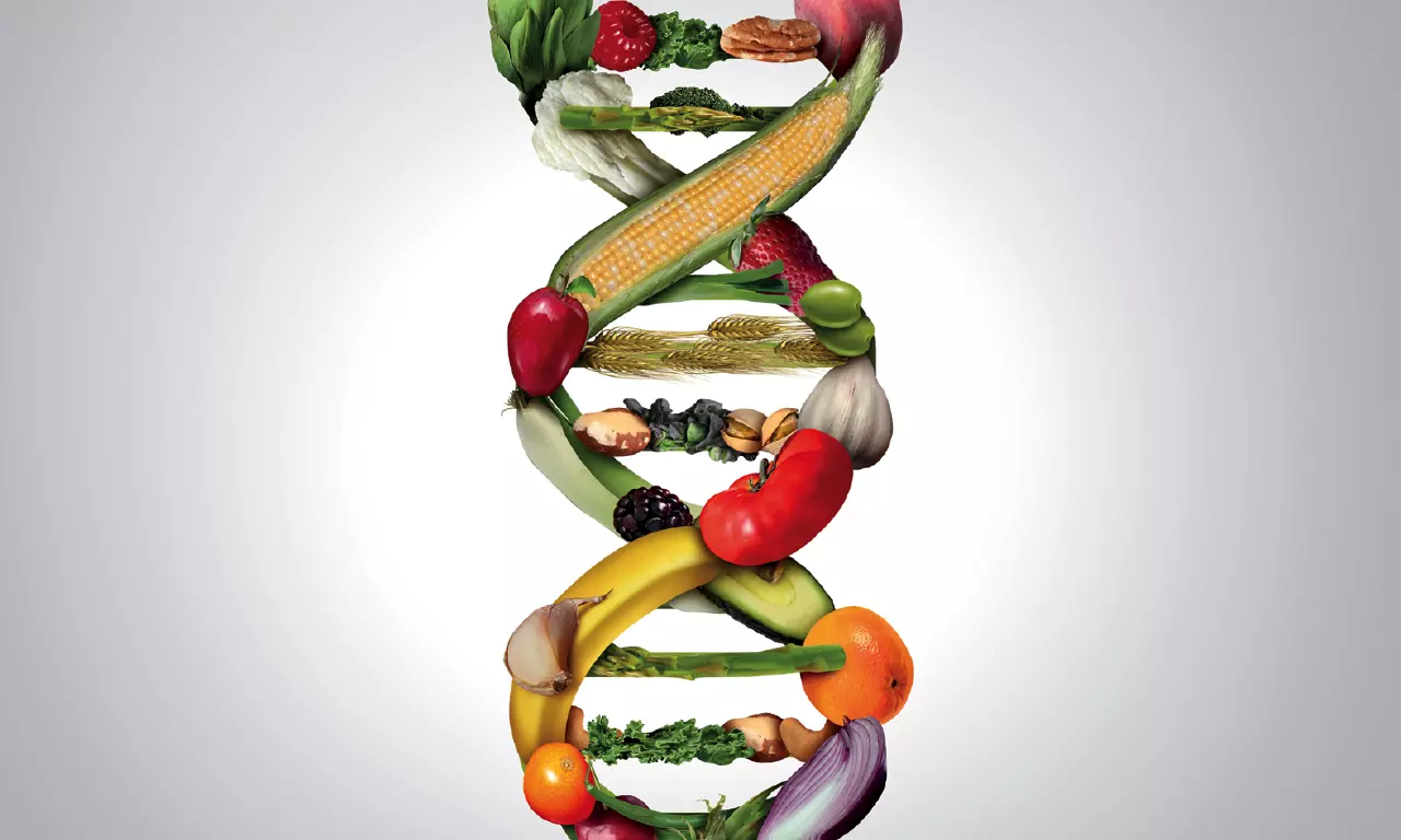 Test per le intolleranze alimentari: il primo passo verso la soluzione